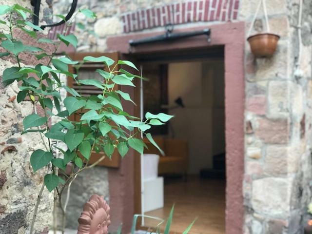 Buedinger Hof Apartment Вайнхайм Екстериор снимка